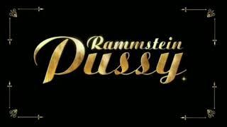Rammstein - Pussy Guitar Cover