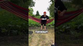 CEWE INI MINUM DAN MAKAN DI HAMMOCK ⁉️#shorts #shortvideo #viral