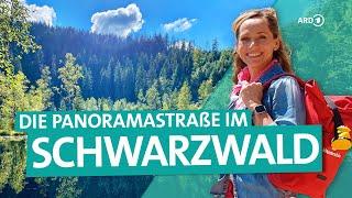 Der Schwarzwald - Von Freudenstadt über die Hochstraße nach Baden-Baden  ARD Reisen