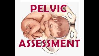 Pelvic Assessment of a Pregnant lady