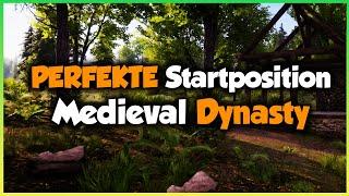 PERFEKTE Startposition für MEDIEVAL DYNASTY  GUIDE