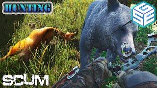 Hunting - Deer And Bear  SCUM