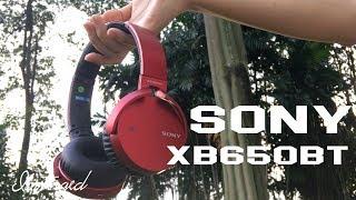 Sony MDR XB650BT Headphones Review