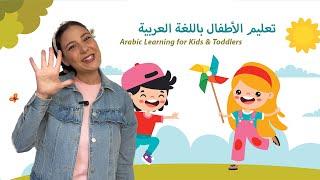 Learning Arabic for Kids - Animals Counting  تعليم الاطفال باللغة العربية الحيوانات الارقام