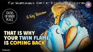 That Is Why Your Twin Flame Is Coming Back ️ 5 Key Reasons Twin Flame Returning 