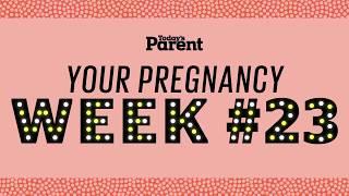 Your pregnancy 23 weeks