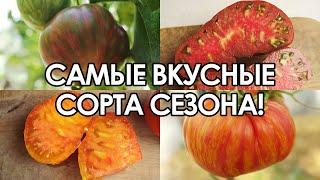 САМЫЕ ВКУСНЫЕ И НЕОБЫЧНЫЕ ТОМАТЫ ЛУЧШИЕ ЭКЗОТИЧЕСКИЕ СОРТА ТОМАТОВ КОТОРЫЕ Я ВЫРАЩИВАЛ