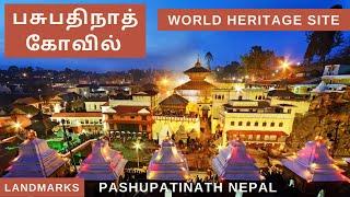 Pashupatinath Temple Nepal  பசுபதிநாத் கோவில்  Kathmandu  UNESCO I Landmarks 