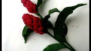 DIY  - craft tutorial - How to make Paper flower - Ginger by crepe paper - Làm hoa gừng giấy nhún