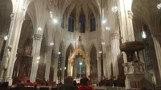 A girl is singing at St Patricks Cathedral