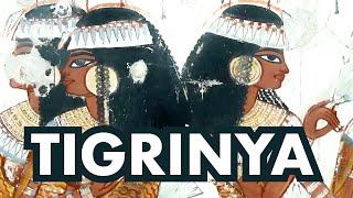 The Eritrean Link to Ancient Egypt I TIGRINYA