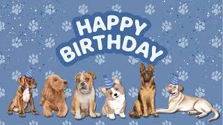 Dog Friendly Happy Birthday Background  Pet Birthday Screensaver  Blue Birthday Decor Tv Banner