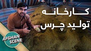 Hashish Factory in Afghanistan  چرس افغانستان چگونه تولید میشود؟ - دیدار از کارخانه چرس در پکتیا