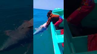 big tuna fish #shortvideo #shorts #video