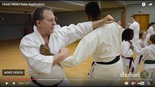 Heian Nidan Oyo  Bunkai Kata Application