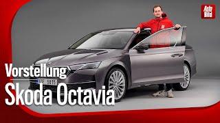 Skoda Octavia Facelift 2024  Er wird jetzt noch intelligenter  Vorstellung mit Sebastian Friemel
