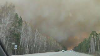 Пожар в лесу трассу около Кургана перекрыли 29 апреля 2022 г.Fire in the forest