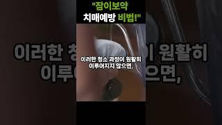 하루의 충분한 꿀잠으로 인생이 바뀐다? 잠이보약 치매예방 