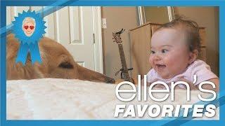 Ellens Favorite Babies Laughing