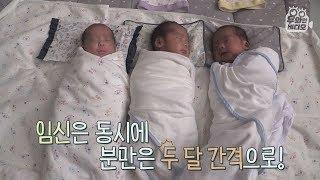 두 달 차이로 세상에 나온 세쌍둥이 이게 가능???┃Triplets who born on two different days