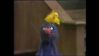 Classic Sesame Street - Grover Sings Theres A Bird On Me 1974