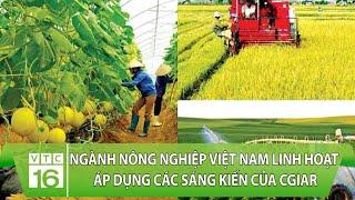 Ngành nông nghiệp Việt Nam linh hoạt áp dụng các sáng kiến của CGIAR  VTC16