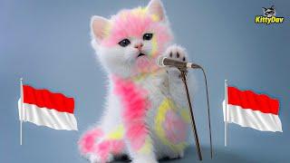 KUCING NYANYI LAGU KEBANGSAAN 17 AGUSTUS TAHUN 45 PART4 KUCING WARNA WARNI