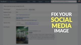 Fix Your Website Social Media Image on Facebook Twitter and LinkedIn