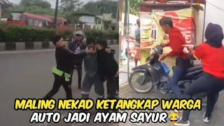 Maling Apes Disiang BolongAuto Jadi Ayam Sayur