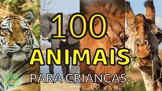 100 animais INCRÍVEIS para crianças - Conhecendo os animais reais
