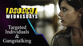 True Crime Wednesdays Targeted Individuals and Gangstalking