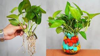 Its Great That I Created An Air Purifying Aquatic Plant For The Office
