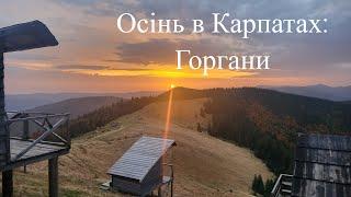 Осіння магія Карпат Дводенний похід на полонину Явірник