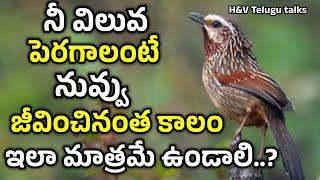 jeevitha satyalu#196manchi matalu inspiring quotes motivational quotes life changing quotes