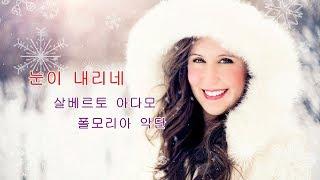 눈이 내리네 Tombe La Neige - 살바토레 아다모 Salvatore Adamo   폴모리아 악단 Paul Mauriat