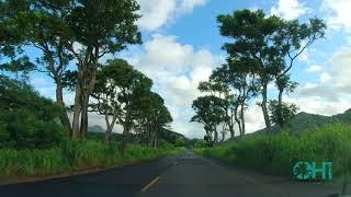 Relaxing Scenic Drive  Tunnel of Trees Maluhia Road  KOLOA KAUAI HAWAII