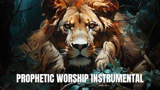 Prophetic Worship Instrumental  Prayer  Meditation   4 hours