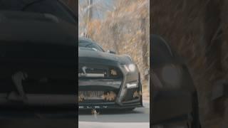 Raw sound gt500 #automobile #mustangs #mustanggt #cars