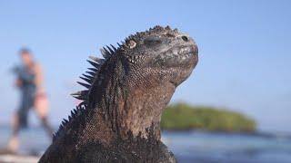 Galápagos Touristen bedrohen Inselparadies