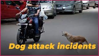 Various Dog attack incidents in India  True Scoop News