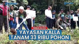 Yayasan Hadji Kalla Tanam 33 Ribu Pohon di Desa Pao Gowa