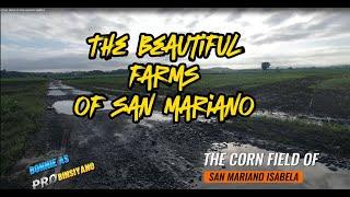 THE BEAUTIFUL FARMS OF SAN MARIANO ISABELA