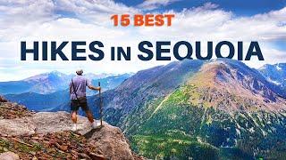 Top 15 Hikes In Sequoia National Park California