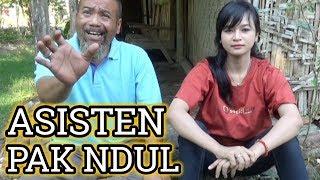 Pak Ndul - ASISTEN PAK NDUL