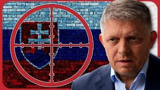 Pro-Ukrainian Liberal tries to ASSASSINATE Slovakias anti-war Prime Minister  Redacted News