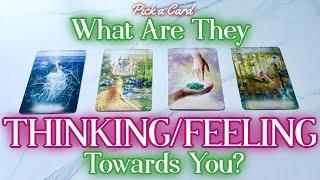 What Are They ThinkingFeeling Towards You?  {PICK A CARD} 🪽 Timeless Tarot Reading