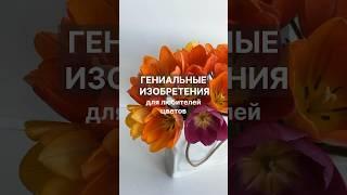 Гениальные изобретения для любителей цветов #кензан #роузбоул #вазадляцветов #обзорwildberries