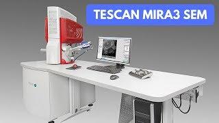 Tescan Mira3 SEM basic imaging