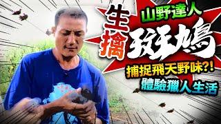 【跟山野達人捕捉飛天野味?陷阱生擒斑鳩】