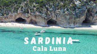 Cala Luna torna a splendere dopo lalluvione con i primi turisti a Giugno  Sardegna 2023